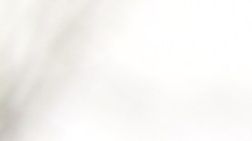 Foto de un hombre llamando por teléfono durante un accidente de tránsito