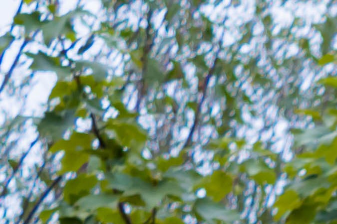 examen de manejo en california 2023