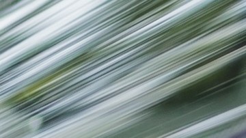 Foto de un conductor siendo multado