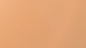 Foto de las manos de una persona revisando documentos