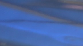 Foto de un auto mostrando su placa de matrícula de Nueva York