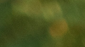 clases de manejo en español en california