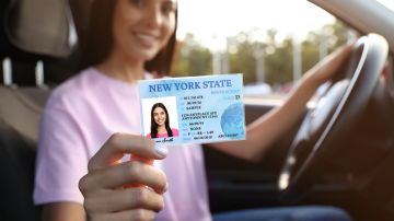 Foto de una mujer mostrando su licencia de conducir del estado de Nueva York