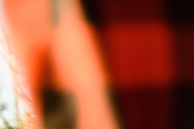 licencia de conducir hialeah gardens fotos