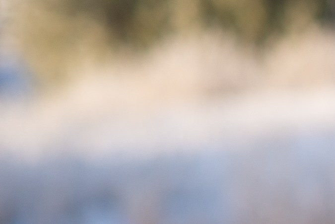 Parabrisas congelado.