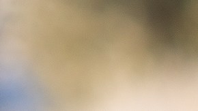 Parabrisas congelado.