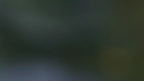 oficina para adultos mayores en illinois