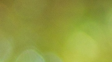 Foto de una adolescente durante su examen de manejo