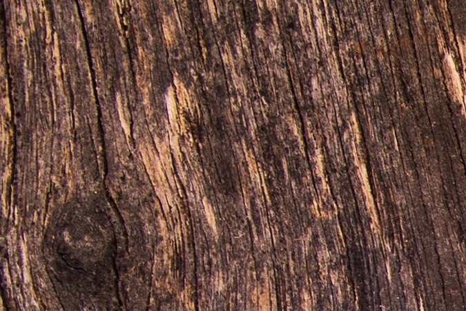 licencia de conducir en chicago para immigrantes