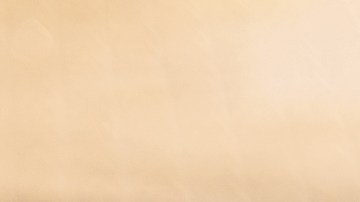 Foto de una conductora siendo multada