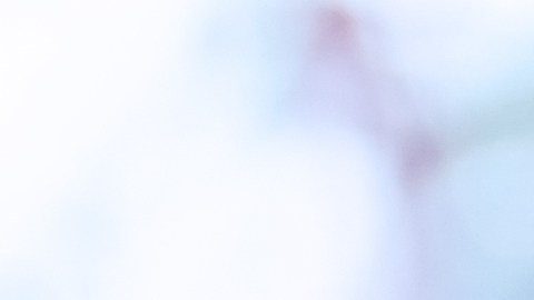 Foto de las manos de una persona usando una laptop