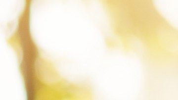 Foto de una mujer sonriente sosteniendo una licencia de conducir