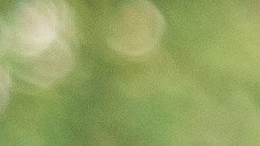 Foto de una mujer durante su examen de manejo para la licencia