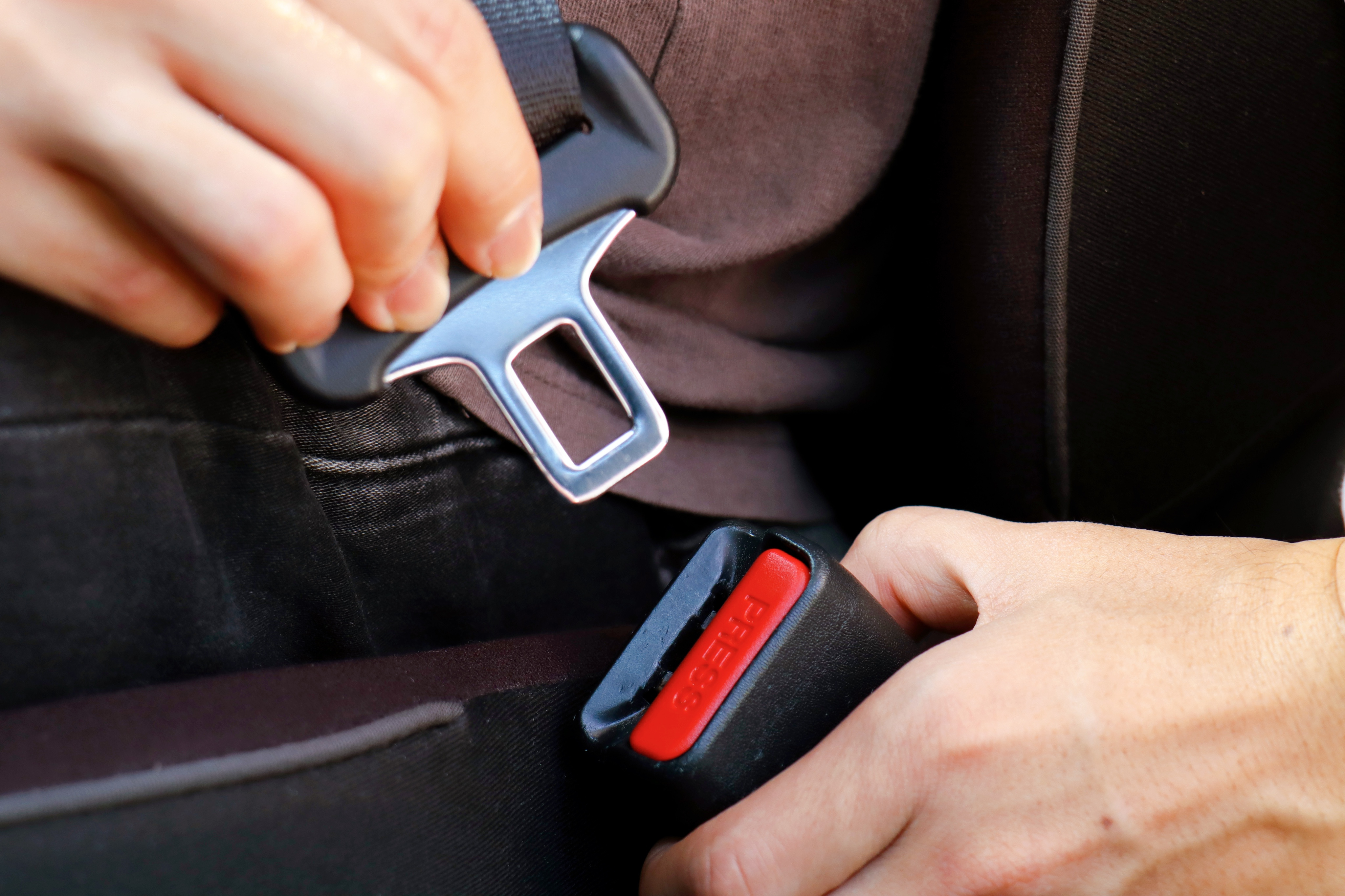 cobija Bien educado Escalera Cómo puedes reparar el enganche del cinturón de seguridad de tu auto -  Siempre Auto