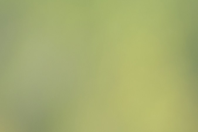 Permiso de aprendizaje para motocicletas en California