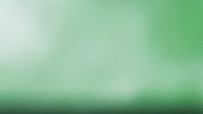 Barra de torsión de auto.