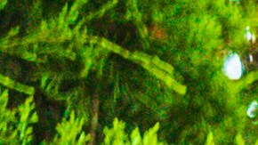 Camioneta mal cuidada.