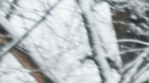 Carro limpio en invierno.