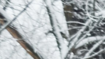 Carro limpio en invierno.