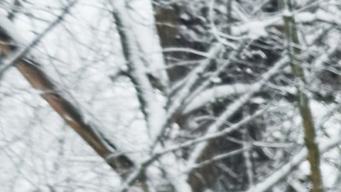 Carro limpio en invierno.