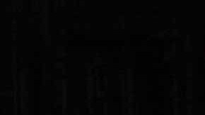 La selección de color de este año en el sector automotriz se basó en la colección denominada “New Array”