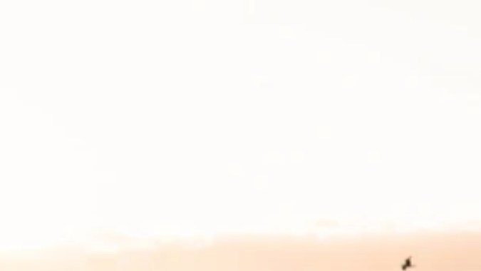 electrico usado en venta