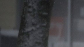 Durante el invierno, en algunas regiones del país las condiciones climatológicas suelen ser extremas y averiar a todo tipo de vehículos