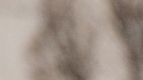 Foro de un policía solicitando documentos a un camionero