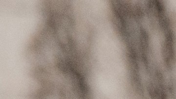 Foro de un policía solicitando documentos a un camionero