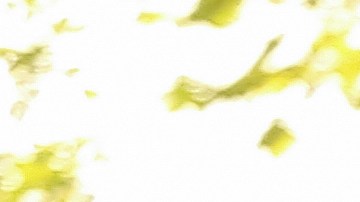 Foto de un instructor de manejo con un cliente