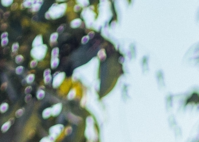 frenos CBS en motocicletas