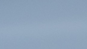 licencia restringida en florida