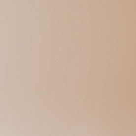 Sellador de silicona para auto.