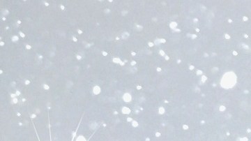 cadenas de neumáticos para nieve