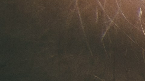 Fotos de la mano de un hombre sobre un teclado