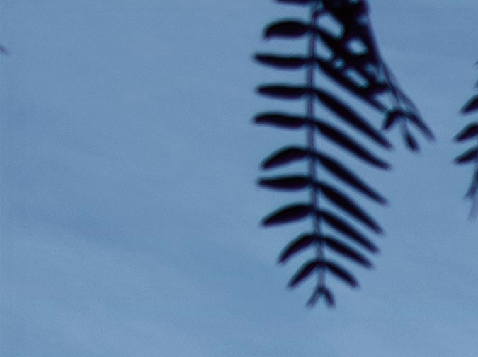 Subaru Forester 2023.