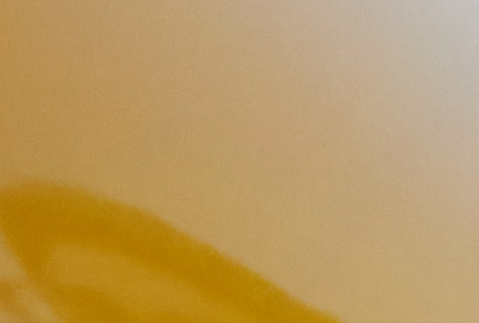 Carga de vehículo eléctrico.