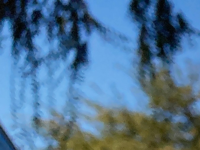 Catalizador protegido.