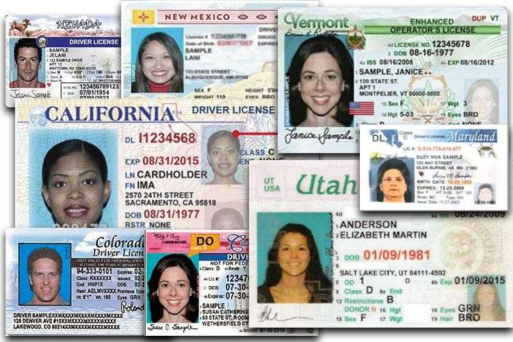 ¿Cómo sacar licencia de conducir en Estados Unidos sin papeles?
