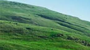 neumáticos para autos eléctricos