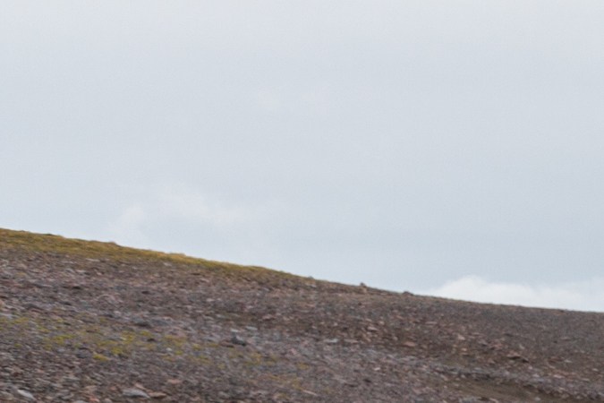 Toyota Land Cruiser Serie 70