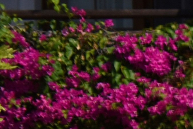 Funda protectora para auto.