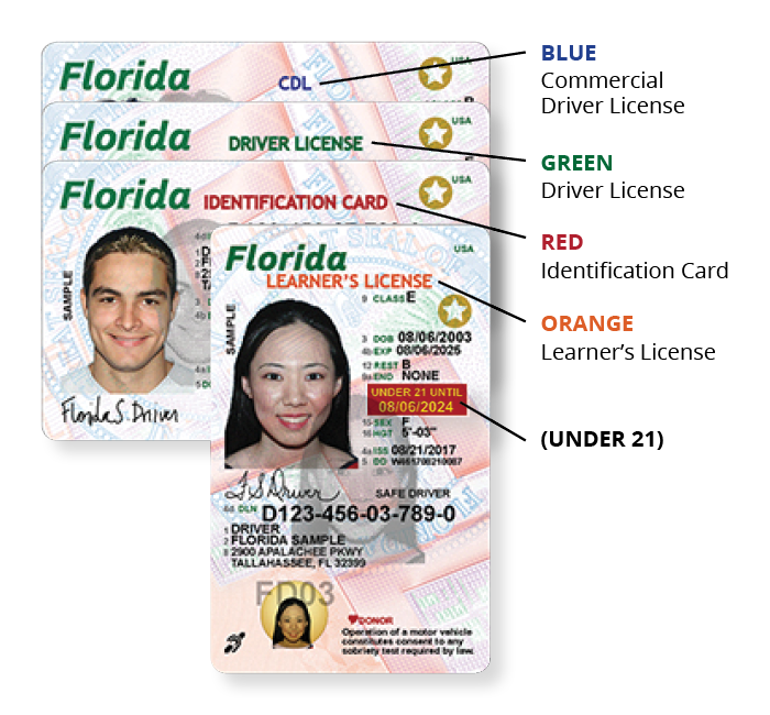 tipos de licencia de conducir en miami