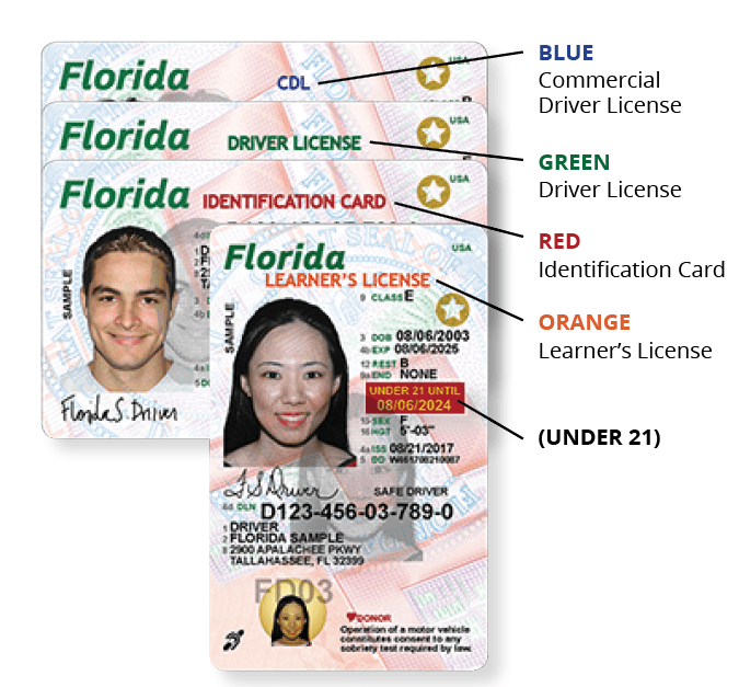 tipos de licencia de conducir en miami