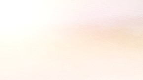 Volante de auto Nissan