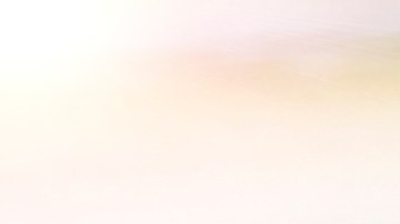 Volante de auto Nissan