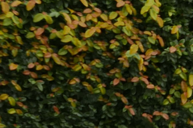 Hyundai Veloster 2013