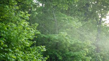 Ford F-150 robo de convertidores cataliticos