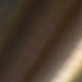 Auto con protector de convertidor catalítico.