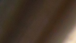 Auto con protector de convertidor catalítico.